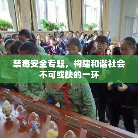 禁毒安全專題，構(gòu)建和諧社會(huì)不可或缺的一環(huán)