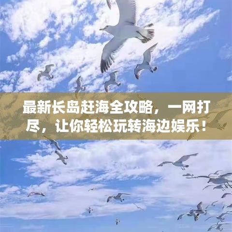 最新長島趕海全攻略，一網(wǎng)打盡，讓你輕松玩轉(zhuǎn)海邊娛樂！