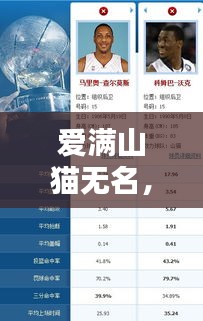 愛滿山貓無名，最新動態(tài)一網(wǎng)打盡