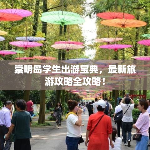 崇明島學(xué)生出游寶典，最新旅游攻略全攻略！