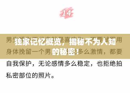 獨家記憶概覽，揭秘不為人知的秘密！