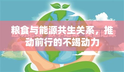糧食與能源共生關(guān)系，推動前行的不竭動力