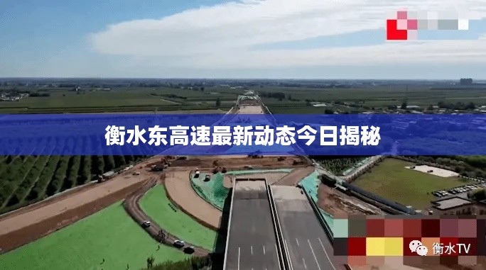 雍榮閑雅