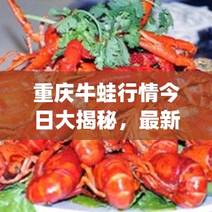 重慶牛蛙行情今日大揭秘，最新動(dòng)態(tài)一網(wǎng)打盡