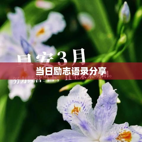 當(dāng)日勵(lì)志語(yǔ)錄分享