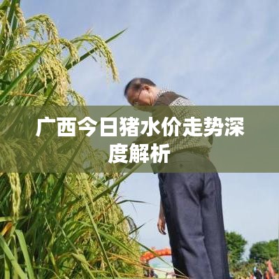 廣西今日豬水價走勢深度解析