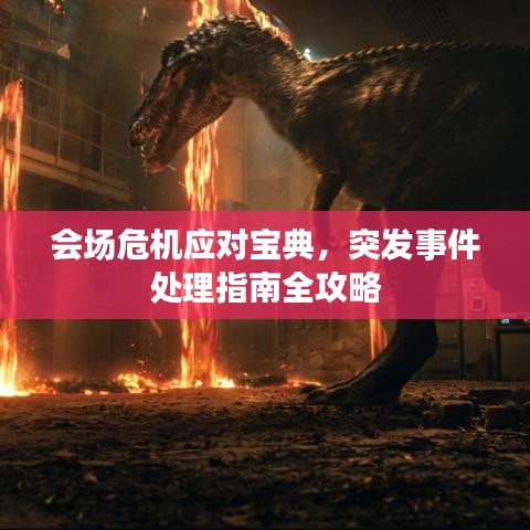 會場危機(jī)應(yīng)對寶典，突發(fā)事件處理指南全攻略