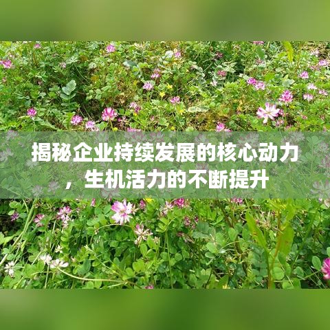 眼張失道