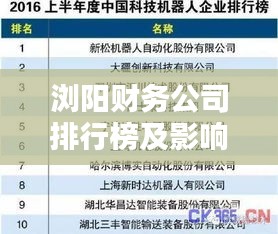 瀏陽(yáng)財(cái)務(wù)公司排行榜及影響力深度解析