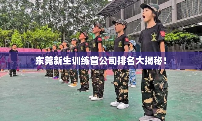 東莞新生訓(xùn)練營公司排名大揭秘！