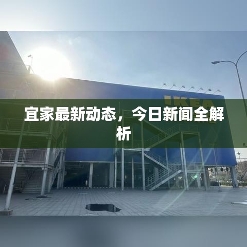 宜家最新動(dòng)態(tài)，今日新聞全解析