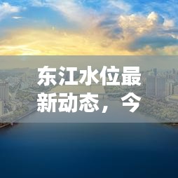 東江水位最新動態(tài)，今日消息一網(wǎng)打盡！