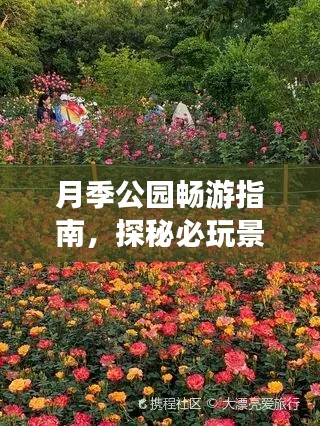 月季公園暢游指南，探秘必玩景點(diǎn)，輕松開(kāi)啟浪漫之旅！