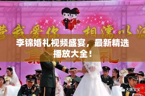 李錦婚禮視頻盛宴，最新精選播放大全！