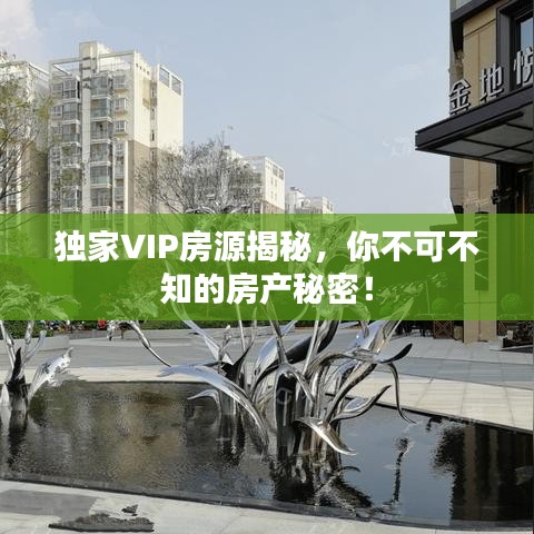 獨(dú)家VIP房源揭秘，你不可不知的房產(chǎn)秘密！