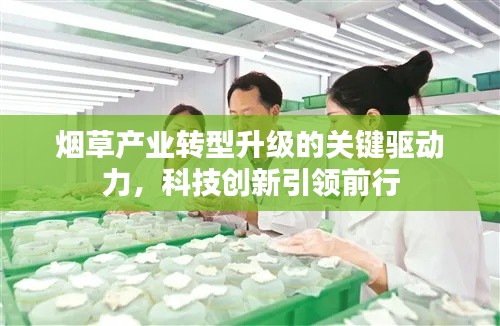 煙草產(chǎn)業(yè)轉(zhuǎn)型升級的關(guān)鍵驅(qū)動力，科技創(chuàng)新引領(lǐng)前行