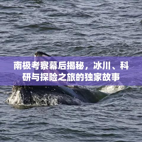 南極考察幕后揭秘，冰川、科研與探險之旅的獨家故事