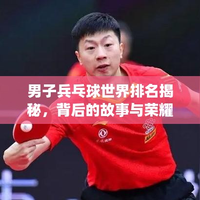 男子兵乓球世界排名揭秘，背后的故事與榮耀之旅