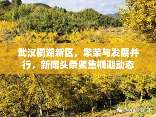 武漢桐湖新區(qū)，繁榮與發(fā)展并行，新聞?lì)^條聚焦桐湖動(dòng)態(tài)