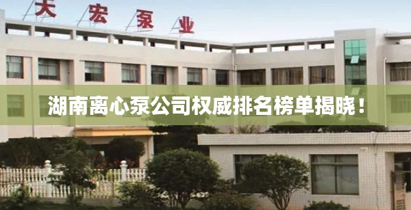 湖南離心泵公司權(quán)威排名榜單揭曉！
