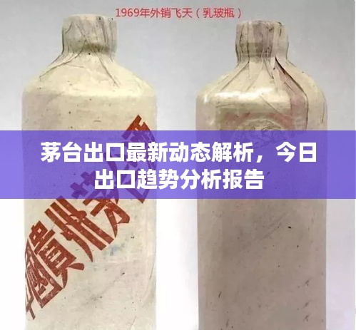 茅臺(tái)出口最新動(dòng)態(tài)解析，今日出口趨勢(shì)分析報(bào)告