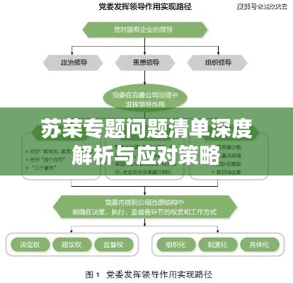 蘇榮專題問(wèn)題清單深度解析與應(yīng)對(duì)策略
