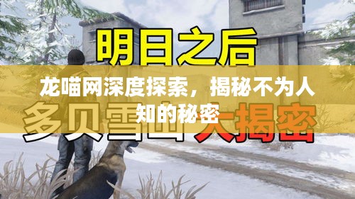 龍喵網(wǎng)深度探索，揭秘不為人知的秘密