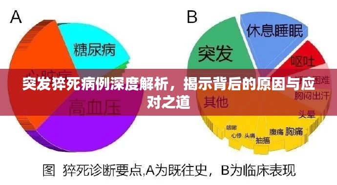 突發(fā)猝死病例深度解析，揭示背后的原因與應對之道