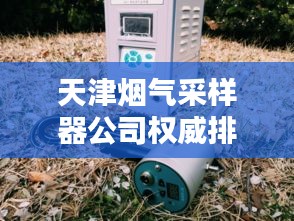天津煙氣采樣器公司權(quán)威排行榜揭曉！