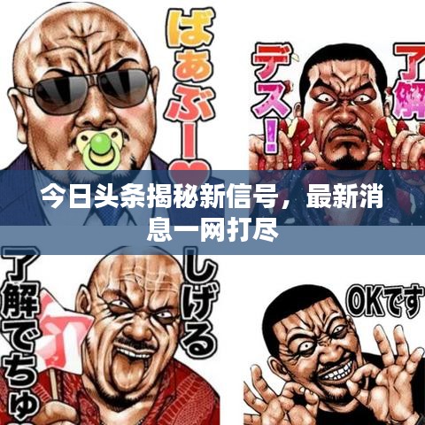 對答如流