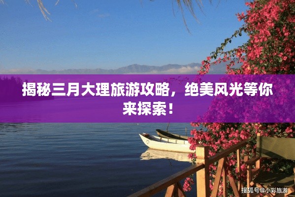 獨(dú)學(xué)寡聞