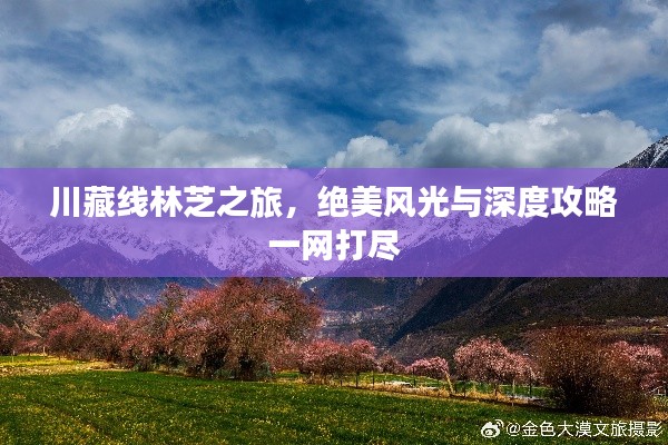 川藏線林芝之旅，絕美風(fēng)光與深度攻略一網(wǎng)打盡