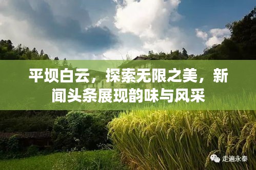 平壩白云，探索無限之美，新聞頭條展現(xiàn)韻味與風采
