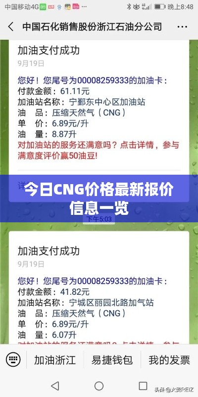 今日CNG價(jià)格最新報(bào)價(jià)信息一覽