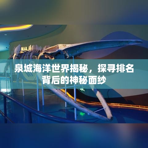 泉城海洋世界揭秘，探尋排名背后的神秘面紗