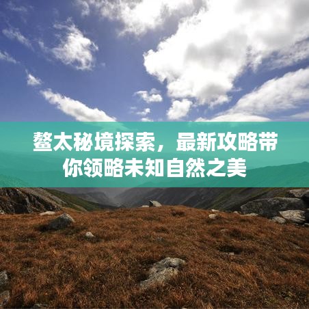鞭駑策蹇