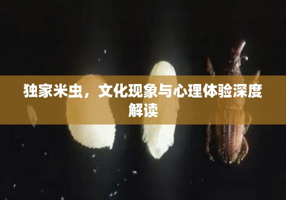 獨家米蟲，文化現(xiàn)象與心理體驗深度解讀
