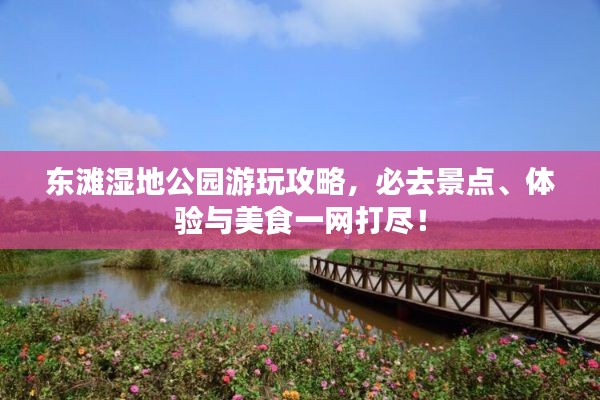 東灘濕地公園游玩攻略，必去景點、體驗與美食一網(wǎng)打盡！