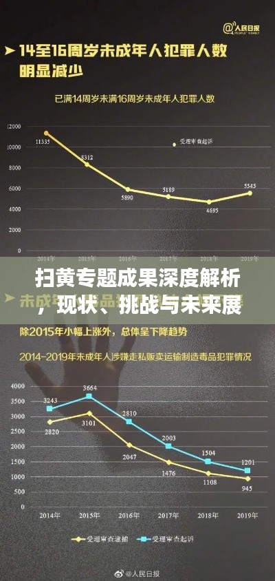 掃黃專題成果深度解析，現(xiàn)狀、挑戰(zhàn)與未來展望