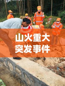 山火重大突發(fā)事件應(yīng)對與反思，如何守護(hù)綠水青山？