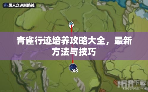 青雀行跡培養(yǎng)攻略大全，最新方法與技巧