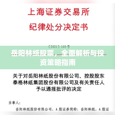 岳陽林紙股票，全面解析與投資策略指南