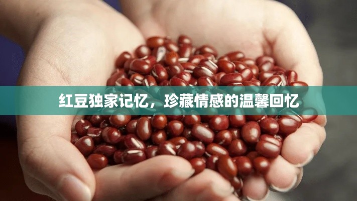 紅豆獨(dú)家記憶，珍藏情感的溫馨回憶