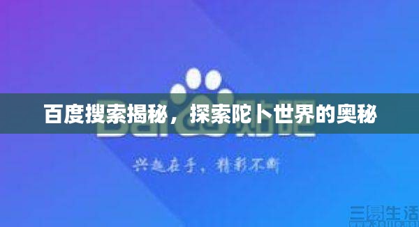百度搜索揭秘，探索陀卜世界的奧秘