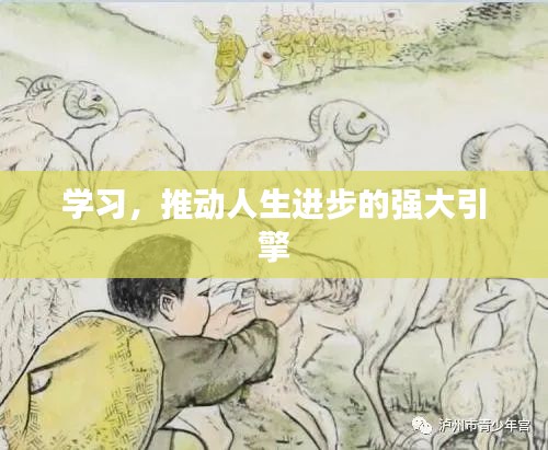 學習，推動人生進步的強大引擎