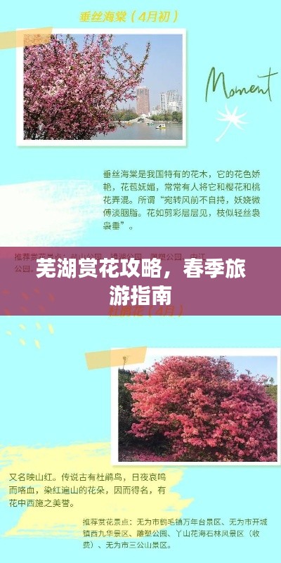 蕪湖賞花攻略，春季旅游指南