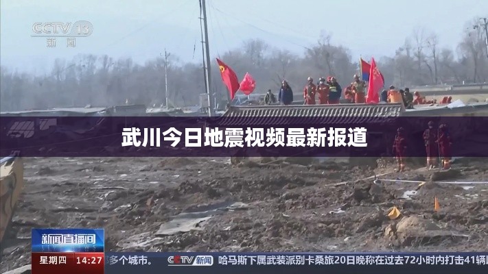 武川今日地震視頻最新報道