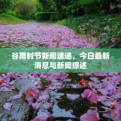谷雨時(shí)節(jié)新聞速遞，今日最新消息與新聞綜述
