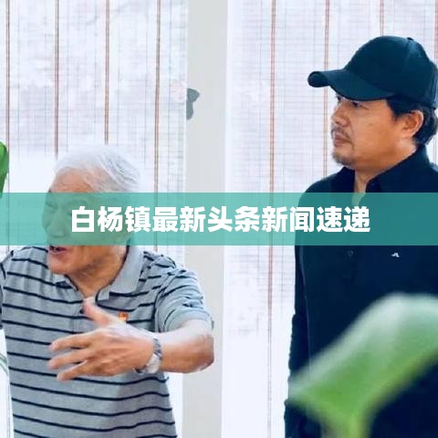 白楊鎮(zhèn)最新頭條新聞速遞