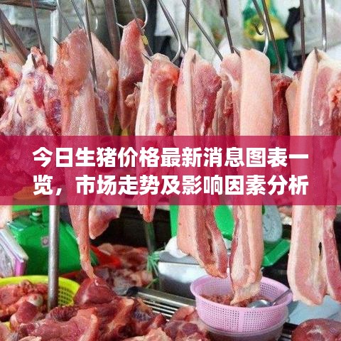 今日生豬價(jià)格最新消息圖表一覽，市場(chǎng)走勢(shì)及影響因素分析